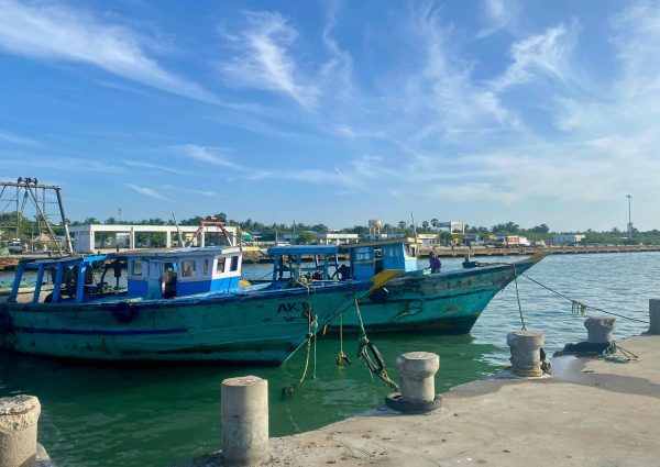 pexels-avinash-arumugam-1514492275-33718557